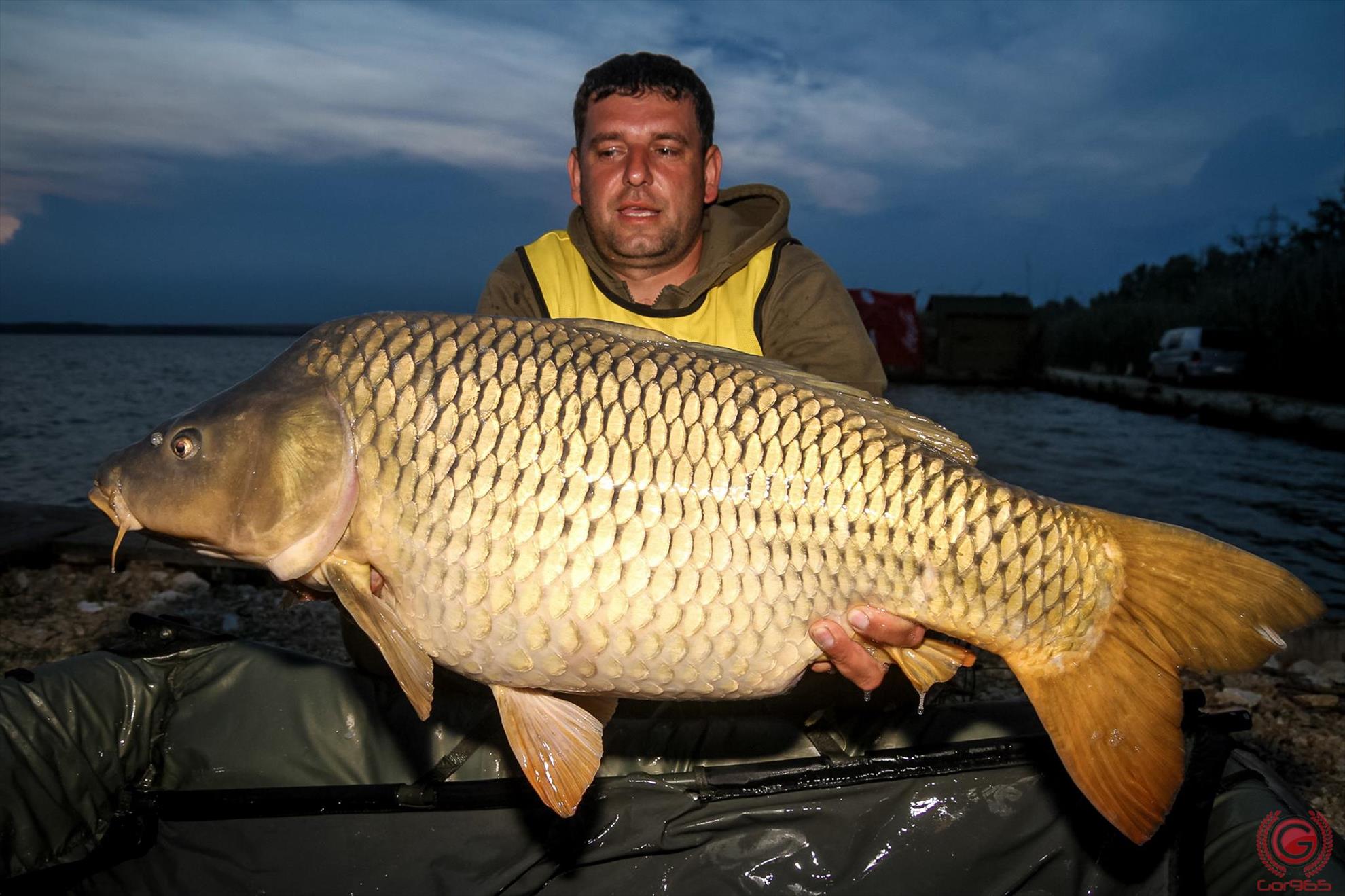 Prezenta record la Campionatul AGVPS 2017! 34 de cluburi de pescuit se intrec pentru un loc la mondiale!